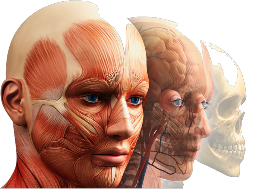 ΒΑΣΙΚΕΣ ΠΡΩΤΕΣ ΒΟΗΘΕΙΕΣ